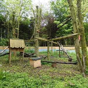 Binturong outdoor enclosure