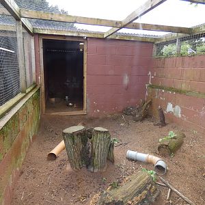 Black-tailed prarie dog enclosure