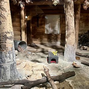 Striped Skunk and Opossum Exhibit