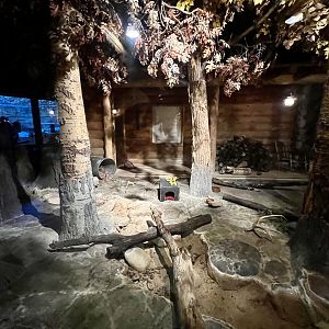 Striped Skunk and Opossum Exhibit