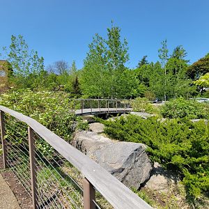 Rosamond Gifford - Entrance gardens