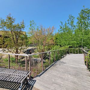 Rosamond Gifford - Entrance gardens