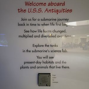 Rosamond Gifford - USS Antiquities entrance sign