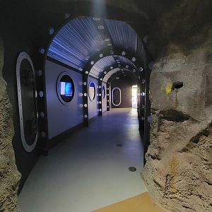 Rosamond Gifford - USS Antiquities from caves; fish on right, moon jellies on left