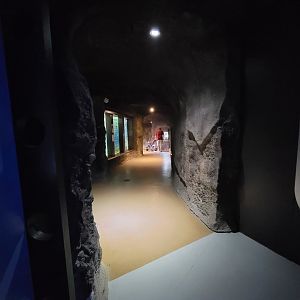 Rosamond Gifford - Entrance to caves