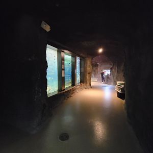 Rosamond Gifford - Ocean info tank with oldest fish