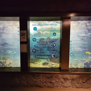Rosamond Gifford - Ocean info tank with oldest fish