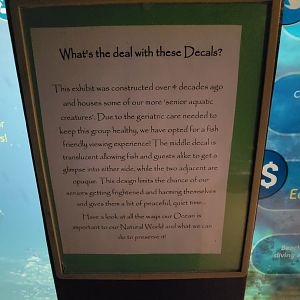 Rosamond Gifford - Explanation of the World Oceans exhibit