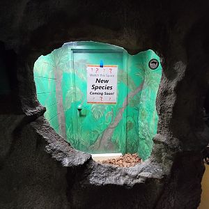 Rosamond Gifford - Empty exhibit