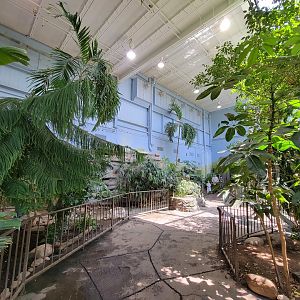 Rosamond Gifford - Tropical aviary