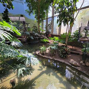 Rosamond Gifford - Tropical aviary