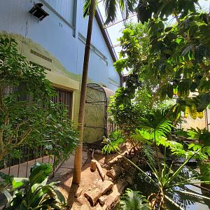 Rosamond Gifford - Tropical aviary