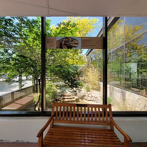 Rosamond Gifford - Komodo dragon outdoor exhibit