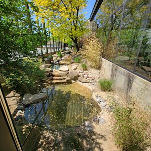 Rosamond Gifford - Komodo dragon outdoor exhibit