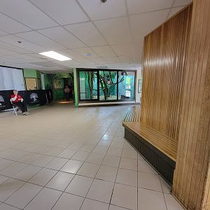 Rosamond Gifford - Rainforest area, temporary koala exhibit being built on left