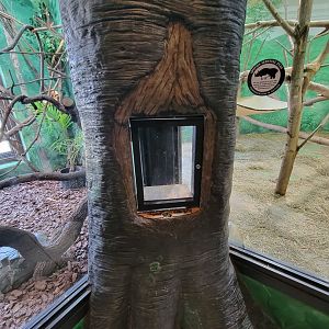 Rosamond Gifford - Empty spot that used to hold an invert