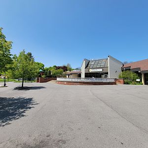 Rosamond Gifford - New Honey Bee Cafe