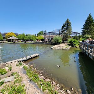 Rosamond Gifford - Waterfowl pond, with outdoor primate exhibit behind it