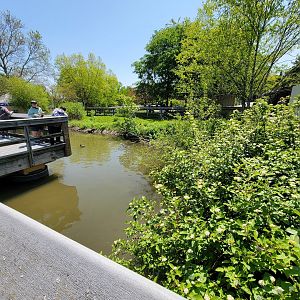 Rosamond Gifford - Extention of waterfowl pond