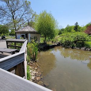 Rosamond Gifford - Extention of waterfowl pond