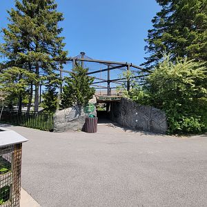 Rosamond Gifford - Outdoor primate area