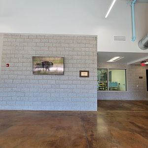 Rosamond Gifford - Inside new Animal Health Center