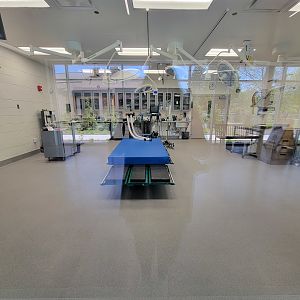Rosamond Gifford - Animal Health Center main room; the lights turn on as you walk by
