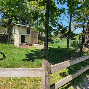 Rosamond Gifford - Stanley crane