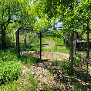 Rosamond Gifford - Takin pool