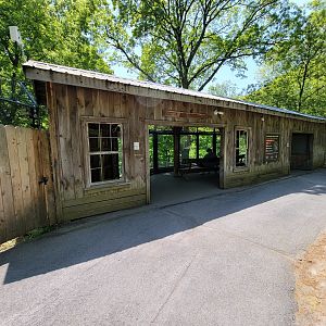 Rosamond Gifford - Amur tiger viewing area
