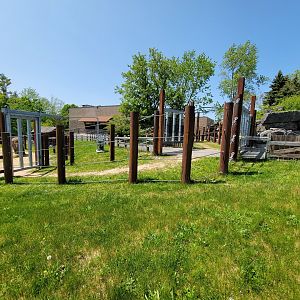 Rosamond Gifford - Asian elephant path closed to let them all out