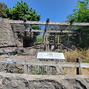 Rosamond Gifford - Front of snow leopard exhibit