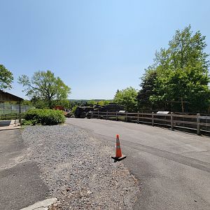 Rosamond Gifford - Path to elephants from snow leopards