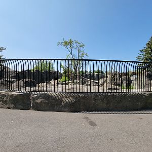 Rosamond Gifford - Andean bear exhibit