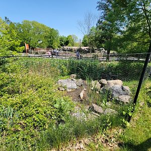 Rosamond Gifford - End of Stanley crane yard