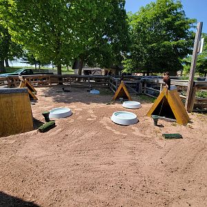 Rosamond Gifford - Tied up birds of prey