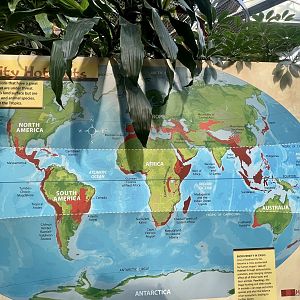 Biodiversity Hot Spots