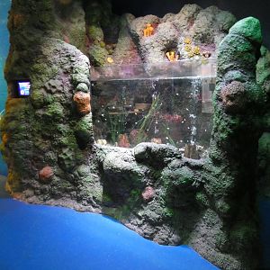 Tank in entrance area