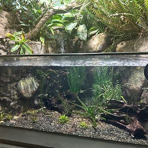 May 2023- Southeast Asian tank