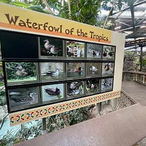 Tropical Waterfowl Sign