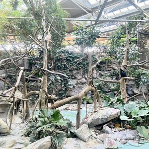 Waterfowl and Gibbon Exhibit