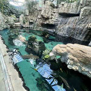 Aquarium