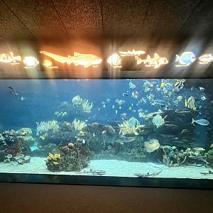 Aquarium