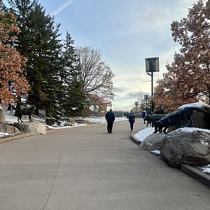 Departing the Minnesota Zoo