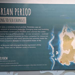 Silurian Period Signage