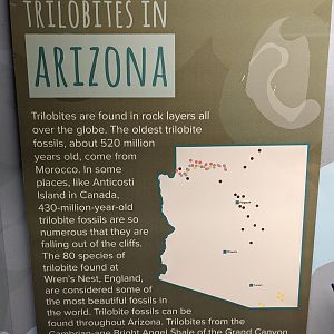 Signage on Trilobites in Arizona
