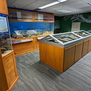 Fossil Display Room