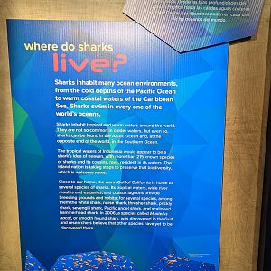 Where do sharks live? Signage
