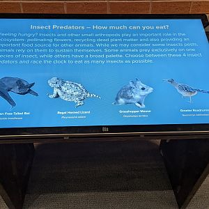 Signage on Insect Predators