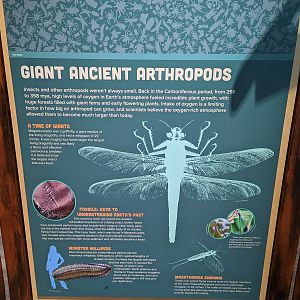 Giant Ancient Arthropod Signage